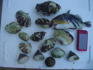 106_img_01